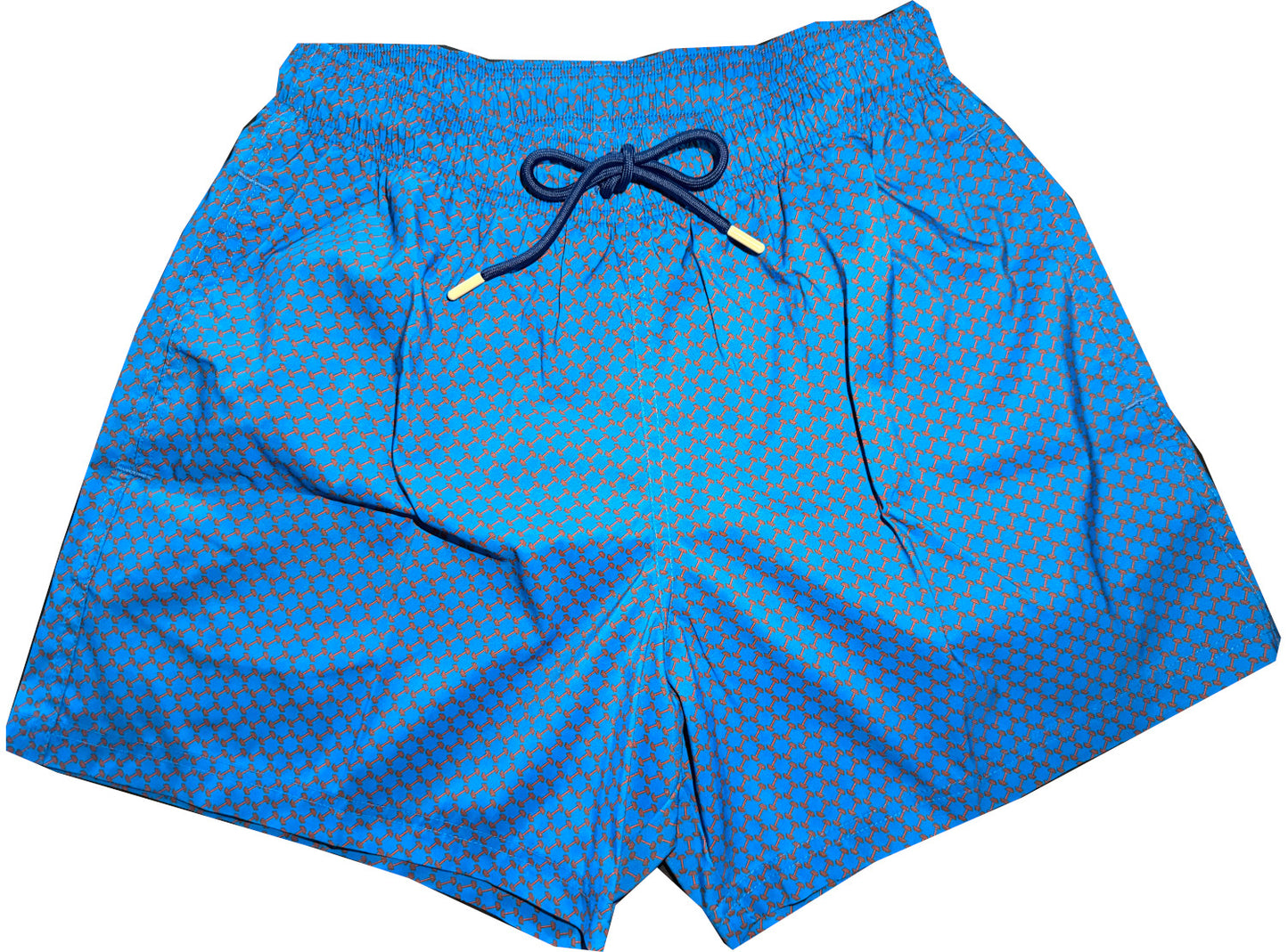 Do You Even Lift Bro Men's Swim Trunks